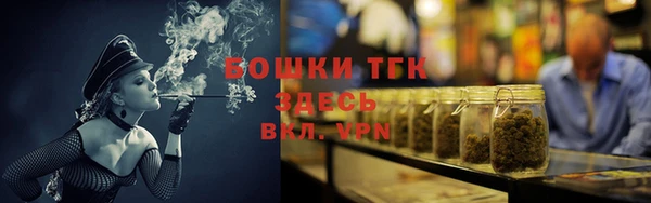 индика Липки