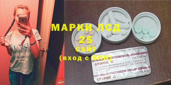 гашик Ладушкин