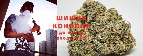 индика Липки