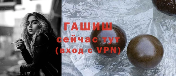 гашик Ладушкин