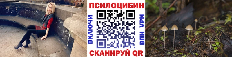 Псилоцибиновые грибы Psilocybe  Томари 